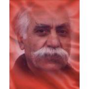 Şiko Yoldaş